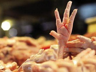 家禽企业联合呼吁为鸡正名 食用品牌冰鲜鸡防御H7N9流感