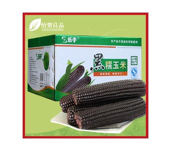 新鲜黑玉米棒 紫玉米3.3kg 山西特产乐于黑糯玉米棒15根整箱