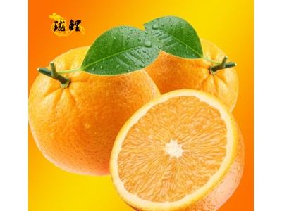橙子 正宗赣南脐橙 大果 天天新鲜水果 果园直供