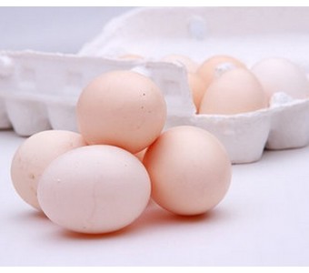 新鲜鸡蛋 散养崇明鸡（1盒12颗）