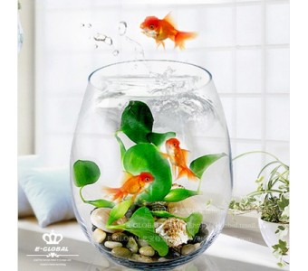 椭圆水晶玻璃生态金鱼缸现代时尚家饰水培花瓶