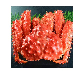 智利熟冻帝王蟹 冰鲜海鲜大螃蟹 鲜活皇帝蟹 2.4-2.6斤足量蟹王