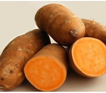皮黄壤黄心红薯 番薯 绿色有机减肥保健 味道香甜粉儒