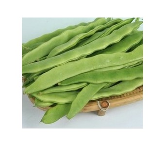 绿色食品新鲜蔬菜 有机豆角 豆类 宽扁豆 宽豆角