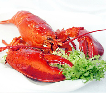 波士顿龙虾 水产海鲜 进口波龙 速冻大龙虾