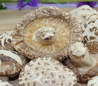 自产自销农家天然绿色随州特产干货优质香菇花菇新鲜冬菇250克