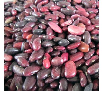 腰豆 杂粮 生态农业 农产品 有机农产品