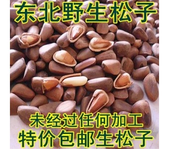 野生松子生松子未加工新货原味红松子坚果批发2斤包邮