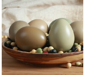 30枚装宝宝辅食新鲜野鸡蛋 农家自养正宗土鸡蛋孕妇食品