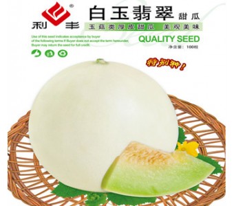 白玉翡翠  玉菇类厚皮甜瓜 100粒