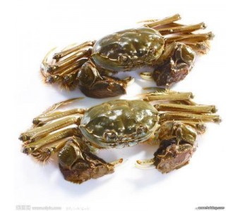 盘锦河蟹-中华绒螯蟹，肉味鲜美，营养丰富