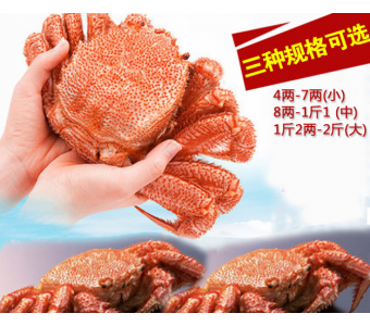 精品推荐海鲜红毛蟹 朝鲜优质毛蟹海水野生红毛蟹产地鲜活红毛蟹