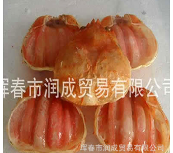批发供应 朝鲜蟹宝 鳕蟹宝 俄罗斯蟹宝 朝鲜海鲜 朝鲜鳕蟹宝