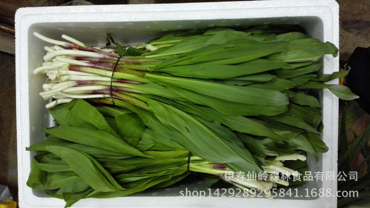 小兴安岭纯野生山野菜山葱