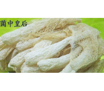竹荪竹参福建特产特级无熏硫干货50g一件代发优质食用菌