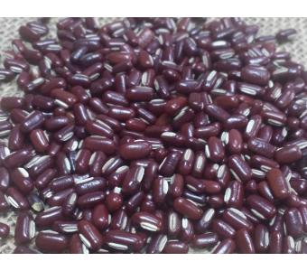 广东特产 优质特级赤小豆 红小豆 亦豆现货大量供应