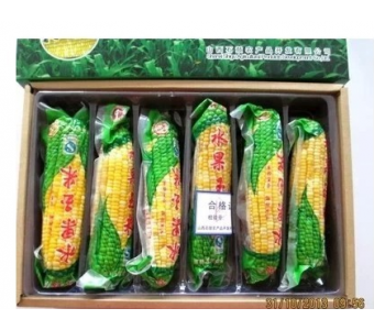 山西特产2014水果玉米真空独立包装超甜玉米开袋可食厂家直销水果