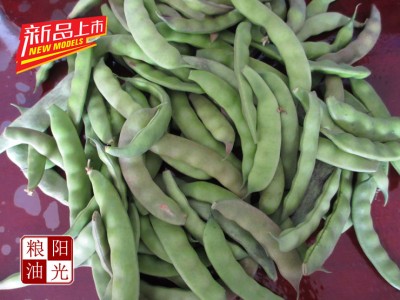 油豆角九月青东北特产一点红无筋开锅烂新鲜有机蔬菜现摘特价包邮