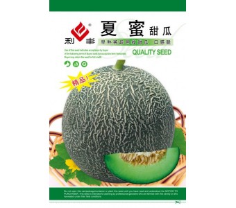 夏蜜 早熟稀疏 网纹型甜瓜 口感脆 100粒