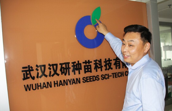 二十年磨一剑  ——汉研种苗商业化育种之路