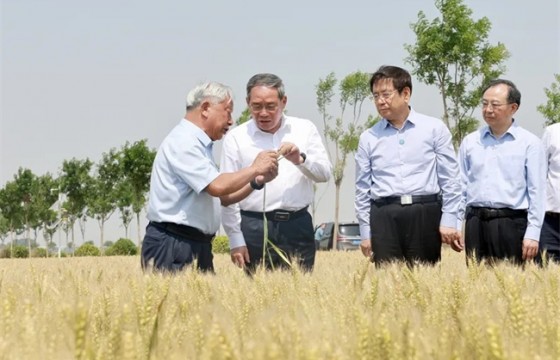 李强：要加强重点品种前沿性研究
