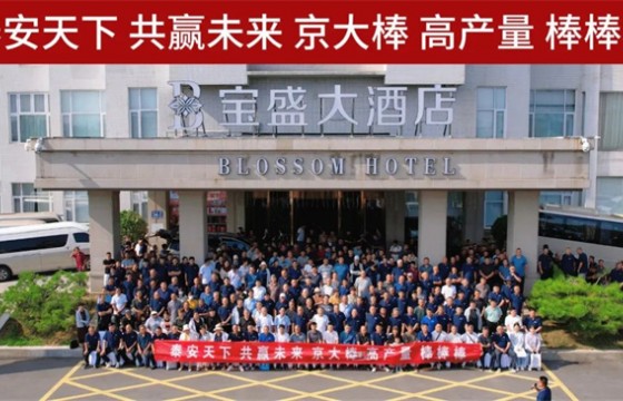 1127.25公斤/亩！京大棒京科857实收测产“亮剑”泰安