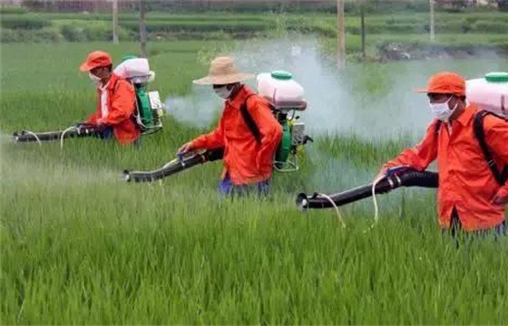 农药施用时间和农药施用技术要点