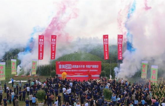 明天种业玉米单产提升研讨暨京科311玉米新品种千人现场观摩大会圆满收官