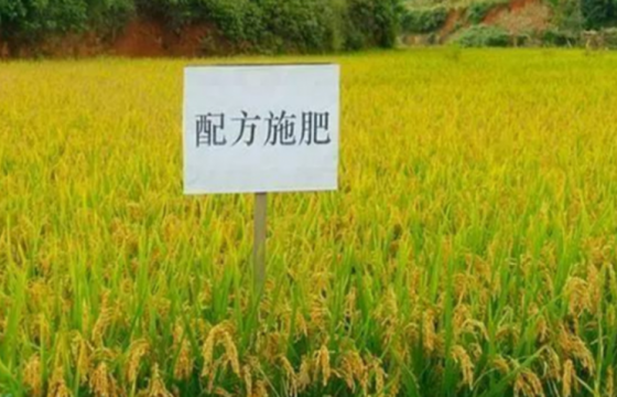 什么是配方施肥技术，配方施肥应遵循哪些原理