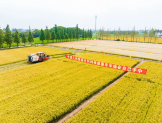 良种为基，我国种业振兴跑出“加速度”！
