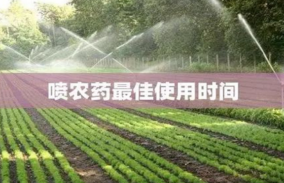 农药用药时间问题：适时用药是关键