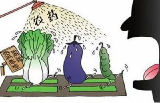 农药“安全、经济、有效”的使用原则
