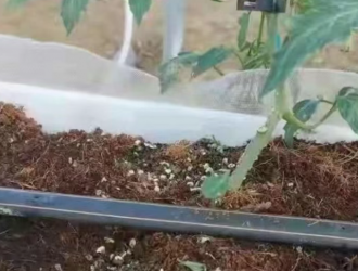 如何使用矿源黄腐酸钾？