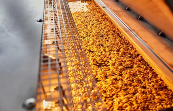 设定1.45万亿斤粮食生产新目标，有何依据、怎样实现？
