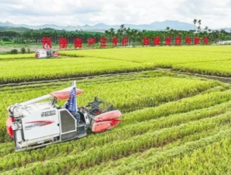 南繁新跨越！年产值突破200亿元