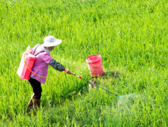巴西2025农药登记新动向：虫螨腈、草铵膦等制剂浓度为何越走越高？
