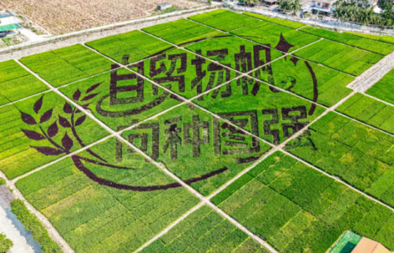 透过好吃地展，看育种的多元未来