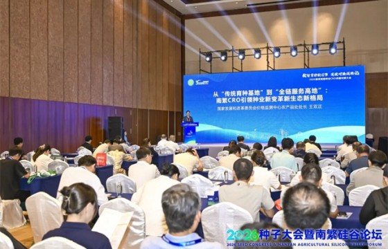 南繁硅谷，服务全球