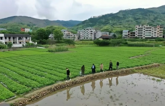 奋进十五五　三农强底座⑧ 千方百计！农民增收筑梦共富