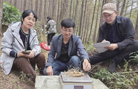 科技赋能产业　创新驱动振兴