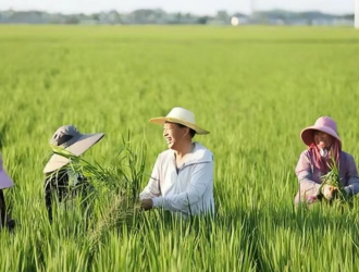 我国种子处理剂产品登记情况分析与展望
