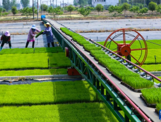 为何？拜耳敌杀死®畅销中国市场40年
