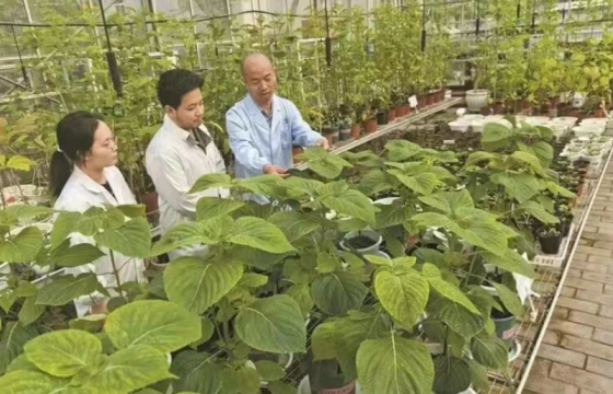 为农业“芯片”装上航天“加速器”
