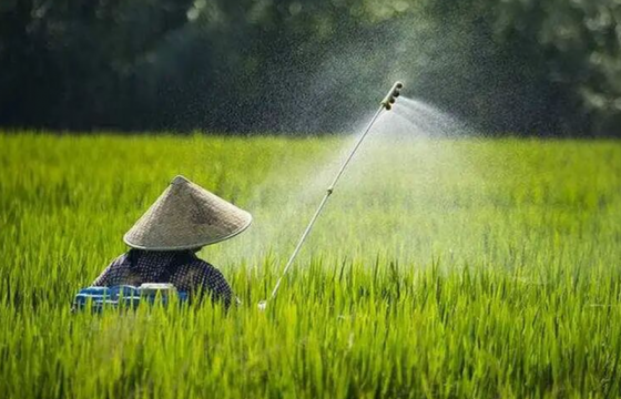 多雨天施用农药技巧