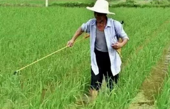 农资人必存：三十烷醇实战落地全手册