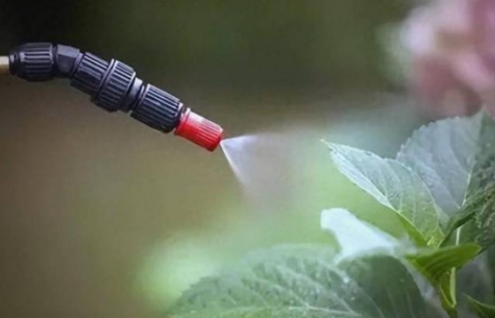 避开叶面肥施用三大误区，实现高效种植