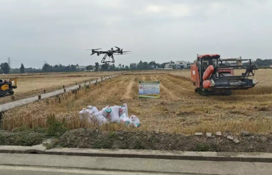 2个人，600亩地，亩产过吨：成都这片智慧稻田藏着什么答案
