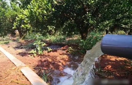 水溶肥如何提升土壤有机质？三大作用一次说清