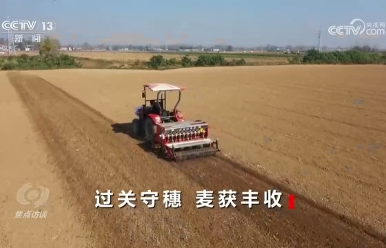 从秋播遇雨到夏收防汛，麦田如何一路闯关？