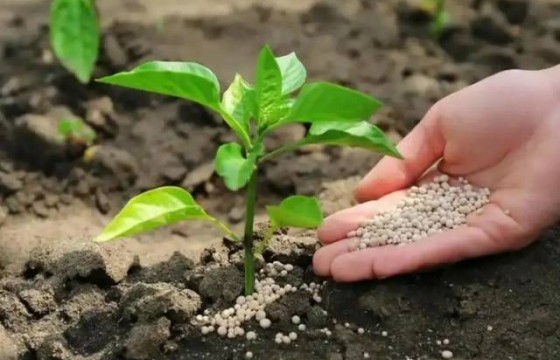 施错了比不施更糟！科学施肥10原则